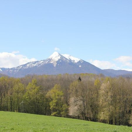 Maison Du Coue Pyrenees Mourtis Gite Pour 2 A 12 Pers Sengouagnet Buitenkant foto